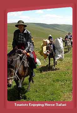 Tourists Enjoying Horse Safari