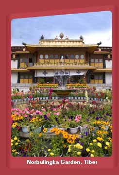 Norbulingka Garden, Tibet