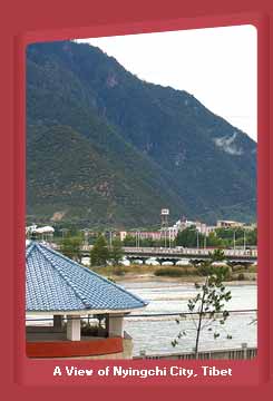 A View of Nyingchi City, Tibet