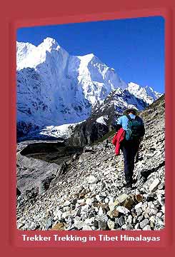 Trekker Trekking in Tibet Himalayas